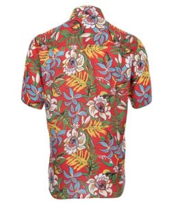 Brownwear.shopba15f033c5 3